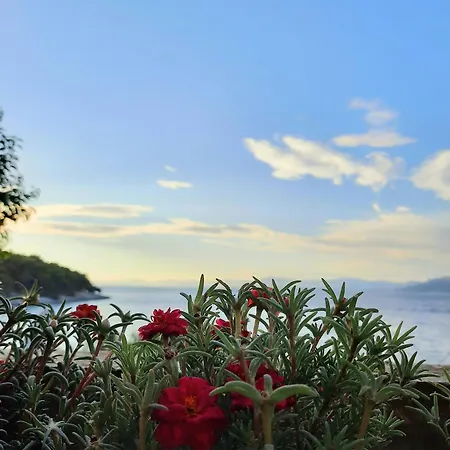 Beachfront Elena With Big Terrace & Garden