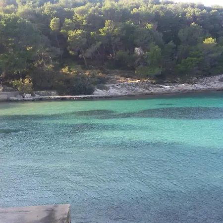 Beachfront Elena With Big Terrace & Garden Apartment *
